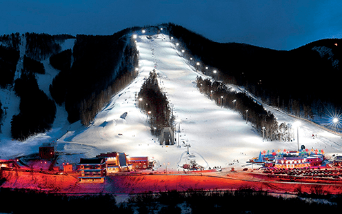 Бобровый лог