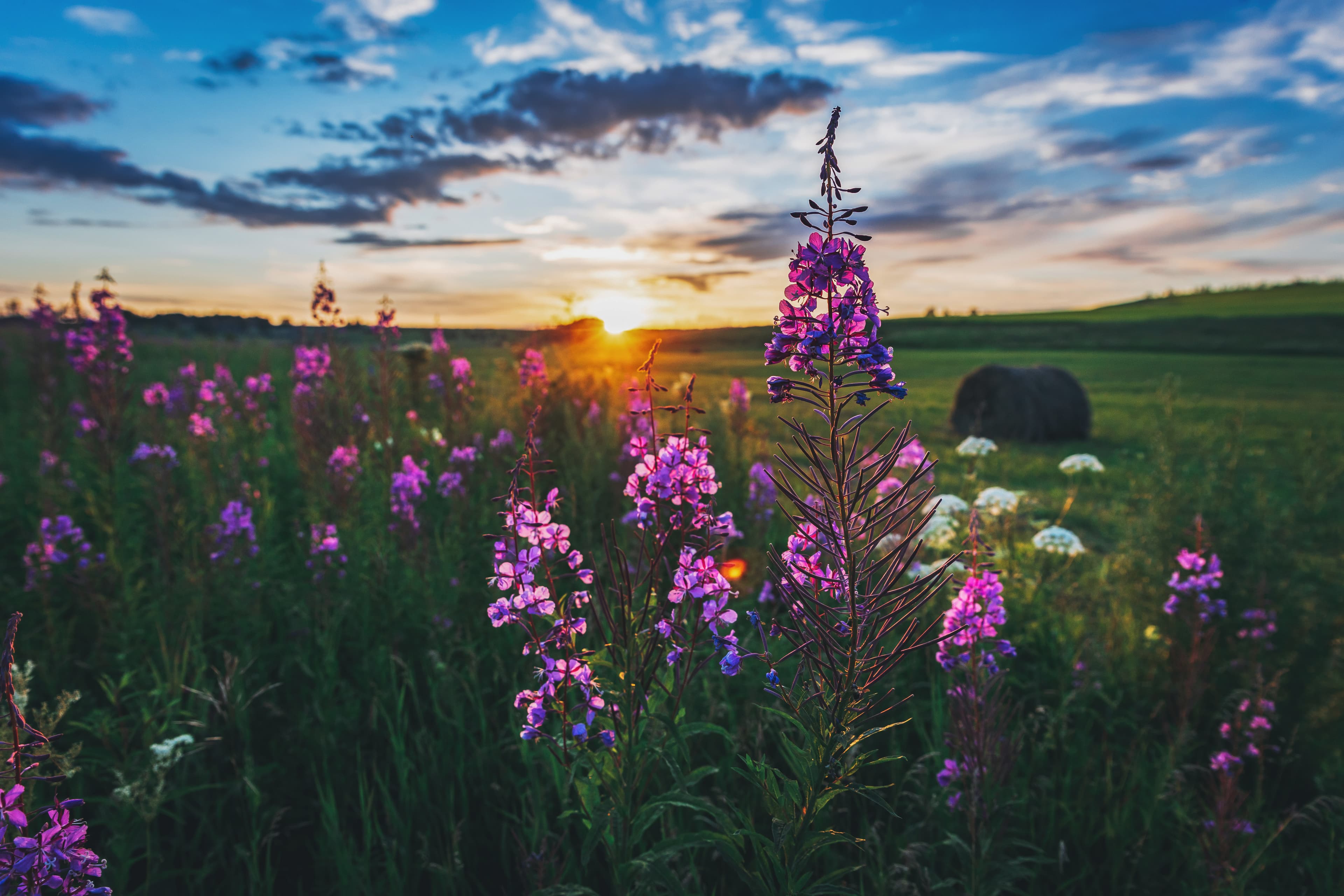 Вид с Красного гребня_.jpg